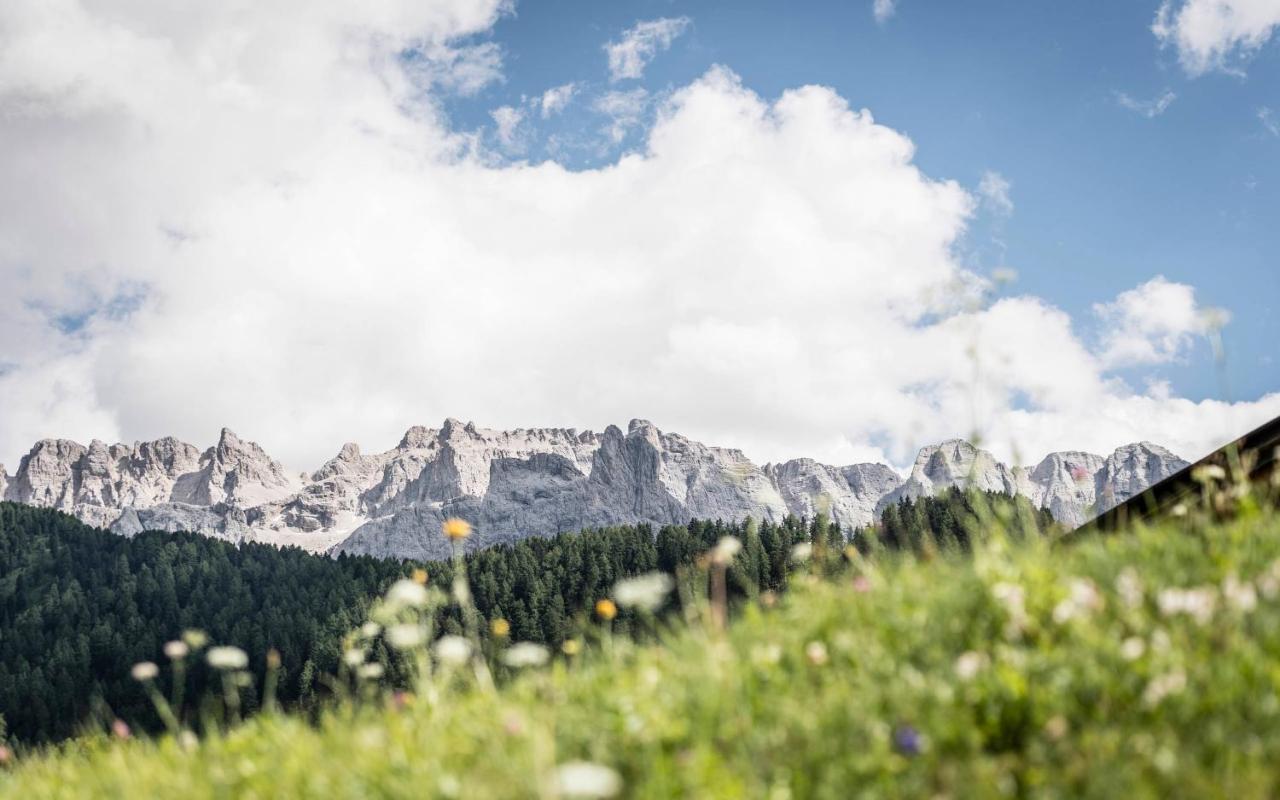Cadepunt The Dolomites Lodge Сельва-ді-Валь-Гардена Екстер'єр фото
