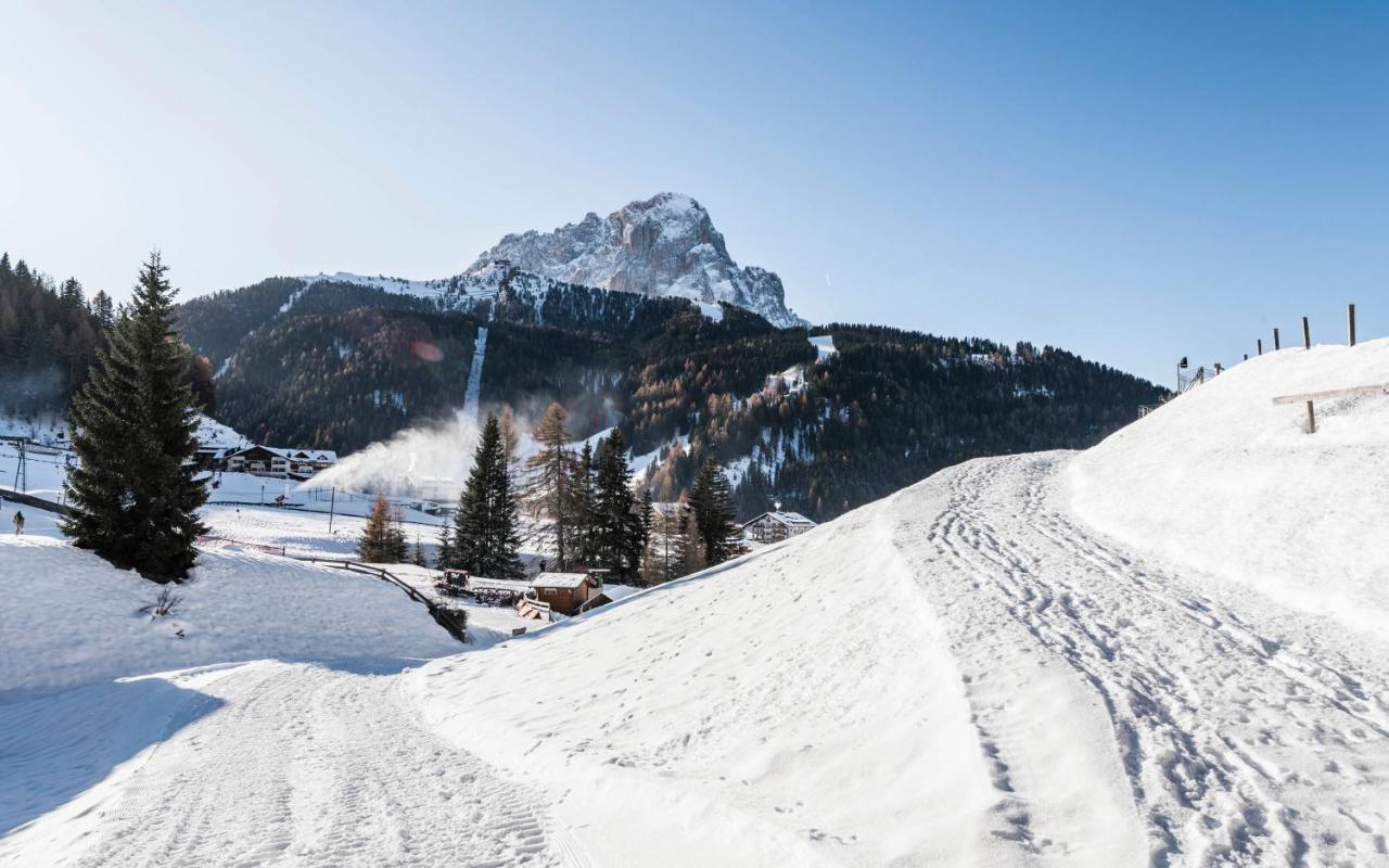Cadepunt The Dolomites Lodge Сельва-ді-Валь-Гардена Екстер'єр фото